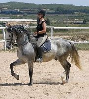 Reiten in Spanien